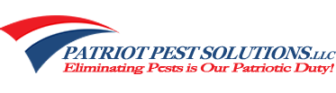 Exploring Pennsylvania's Most Common Spider Species - Patriot Pest  Solutions LLC.